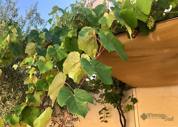 La Firenze Del Sud 3*