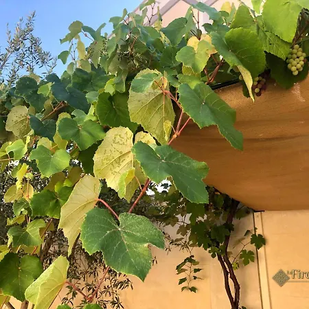 La Firenze Del Sud 3*